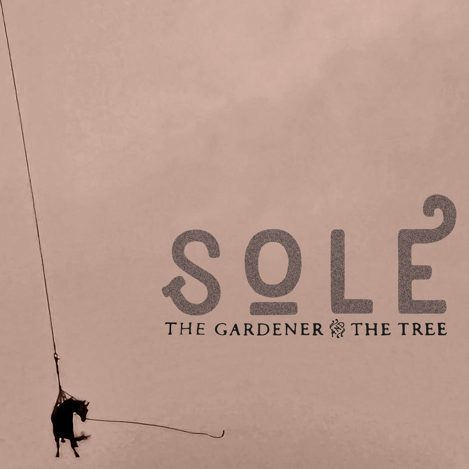 Album cover of SOLE