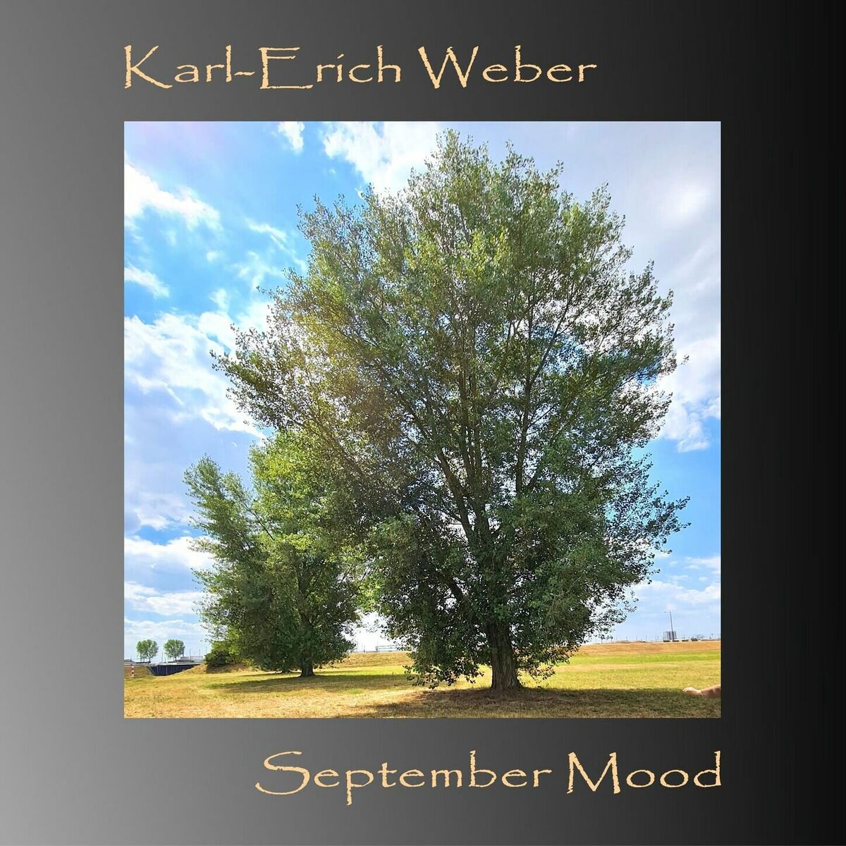 Album cover of September Mood
