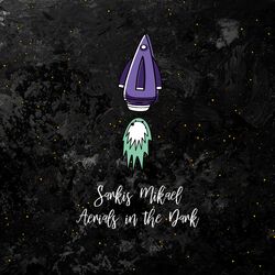 Cover of Aerials in the Dark