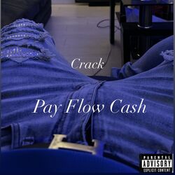 Cover of Pay Flow Cash