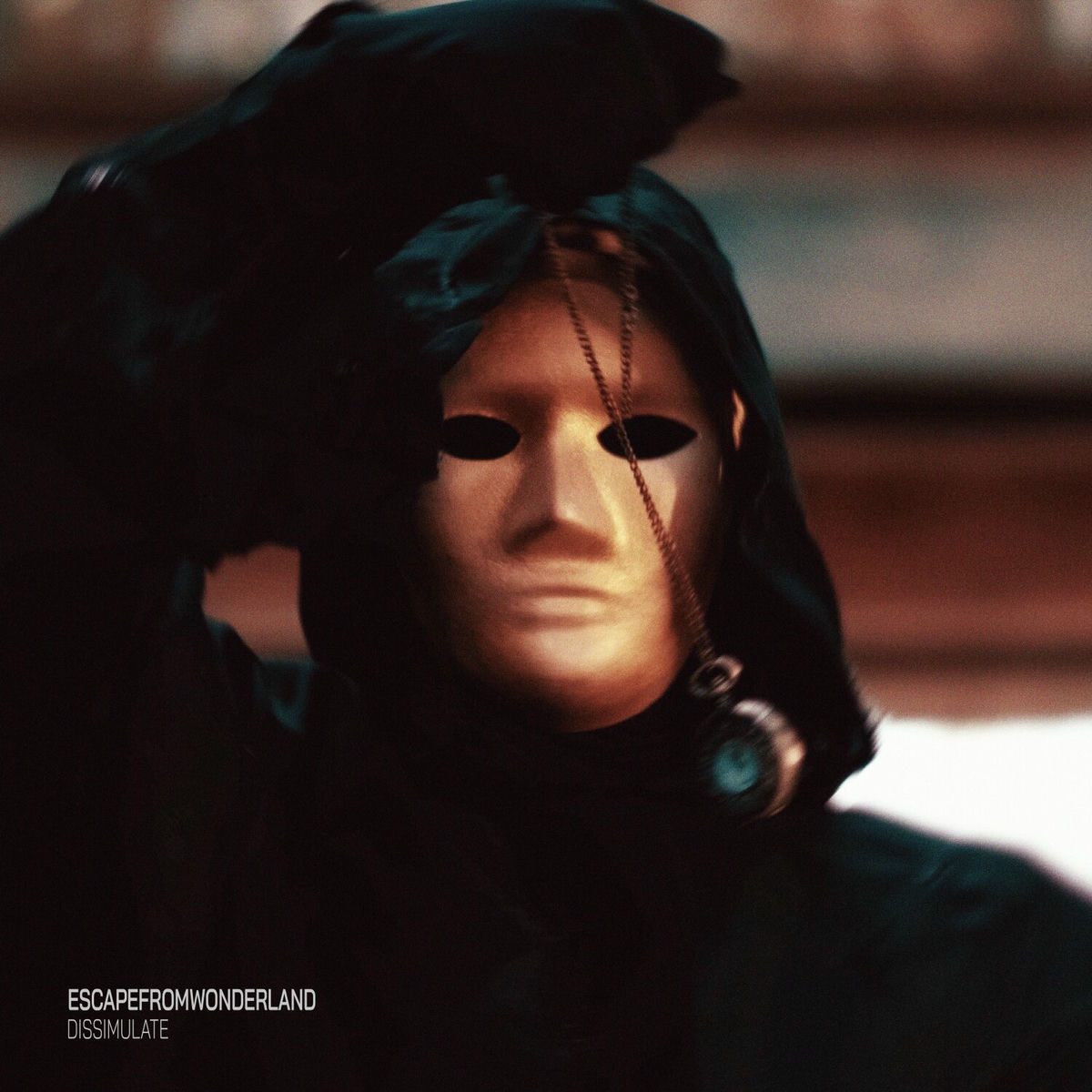 Album cover of Dissimulate