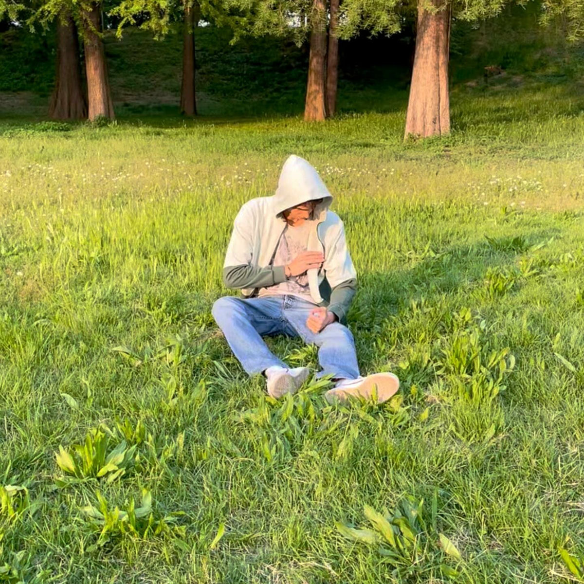 Album cover of INFLUENCES