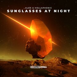 Cover of Sunglasses At Night