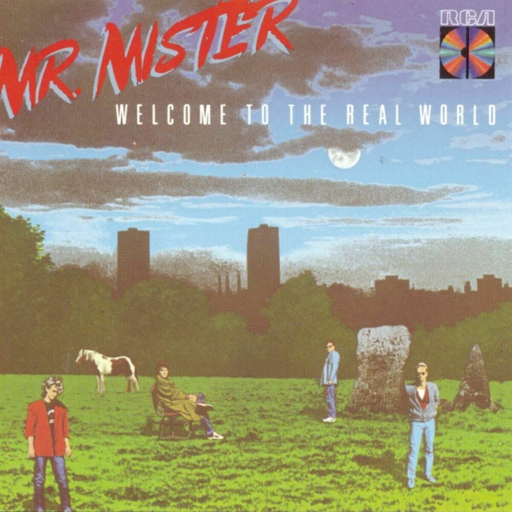 Picture of Welcome To The Real World