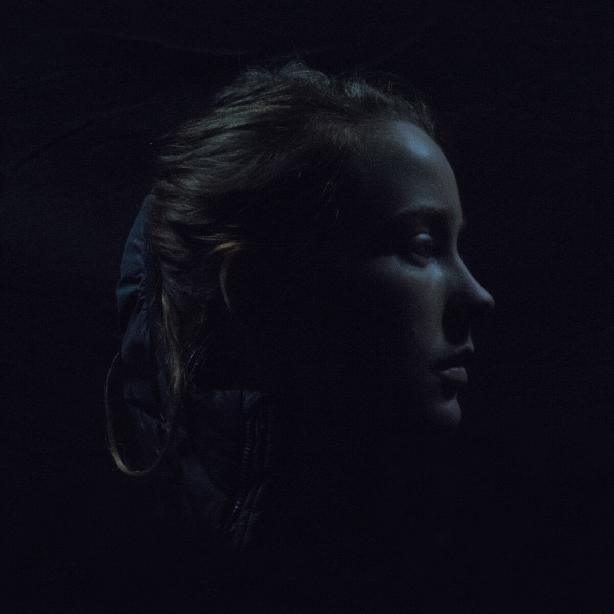 Album cover of Pinnevik