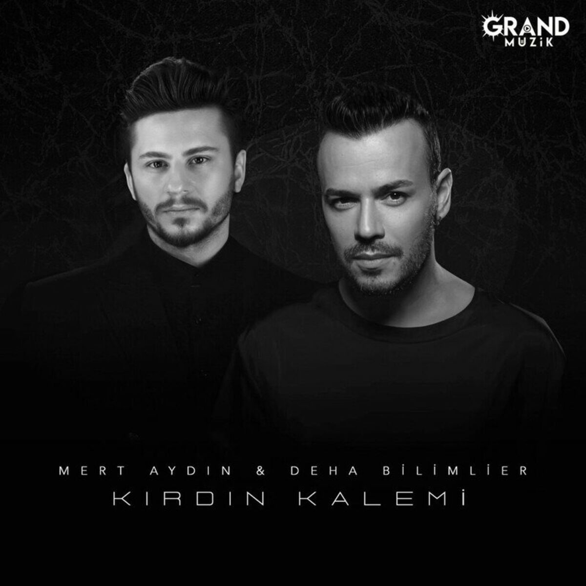 Album cover of Kırdın Kalemi