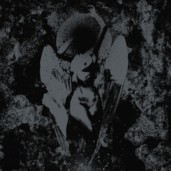 Cover of Converge / Dropdead Split