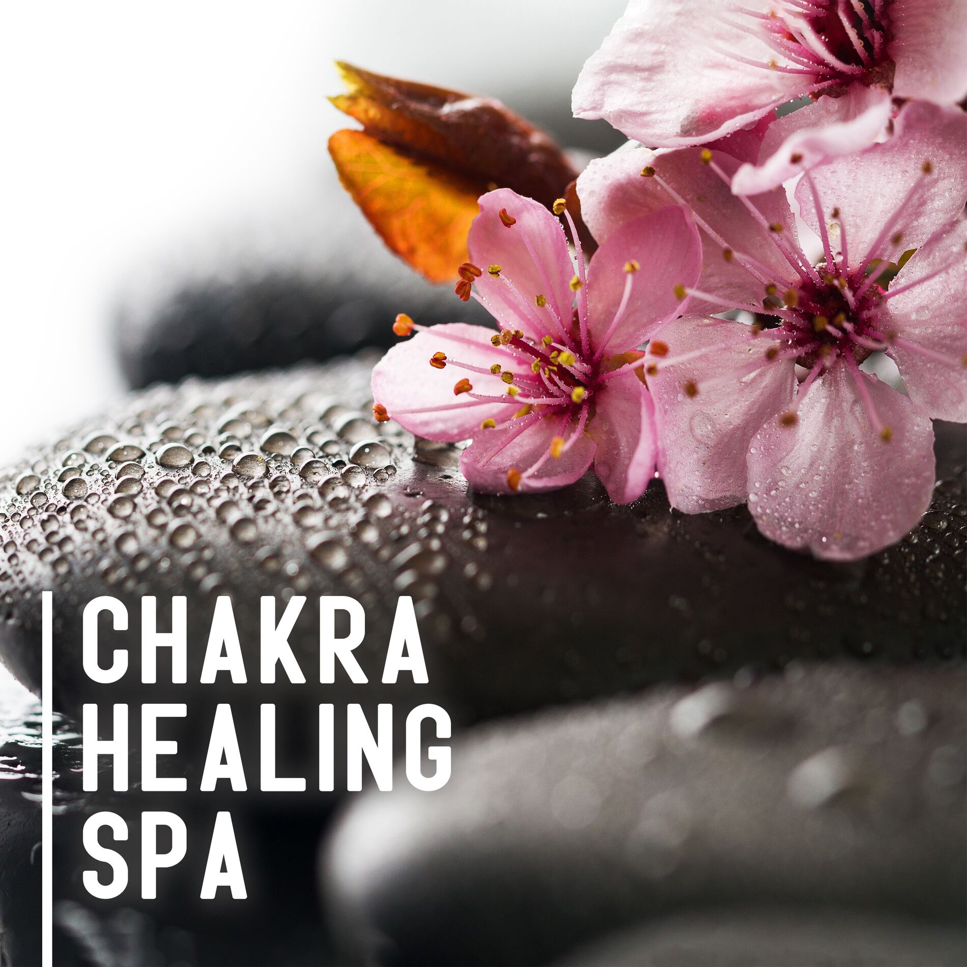 Album cover of Chakra Healing Spa: Soothing Spa Music to Unblock Your Chakras, Body Detox, Vital Energy Increase