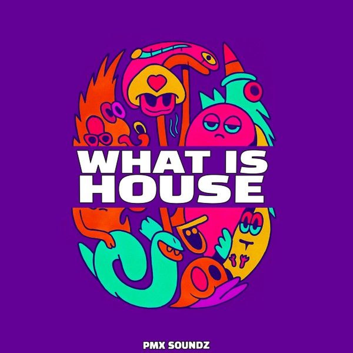 Album cover of What Is House