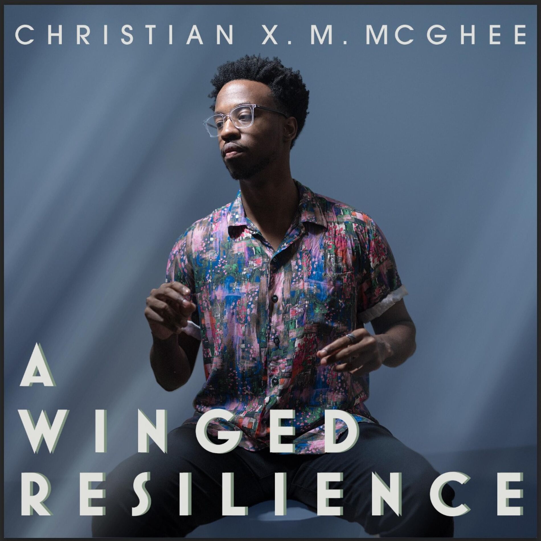 Album cover of A Winged Resilience