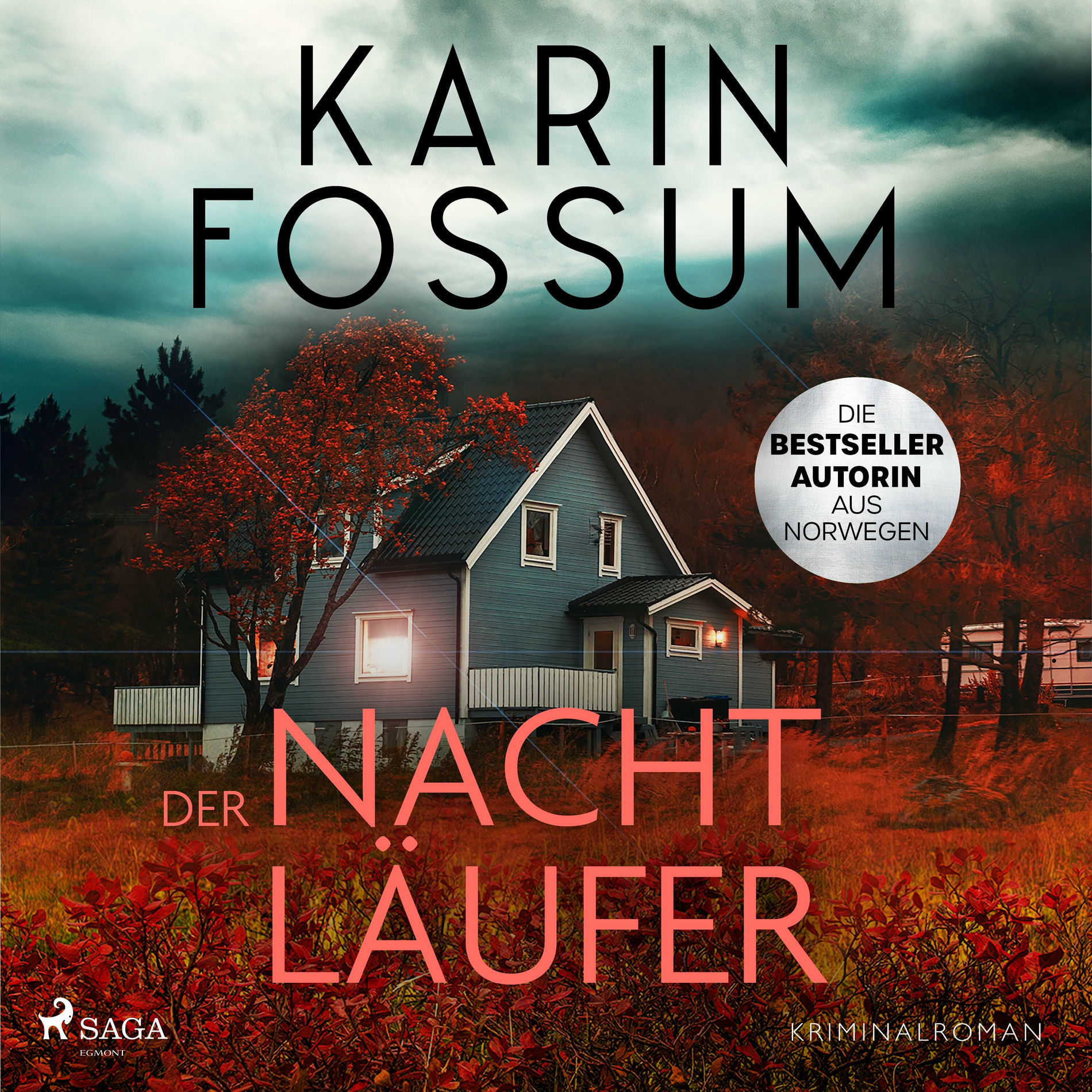 Album cover of Der Nachtläufer