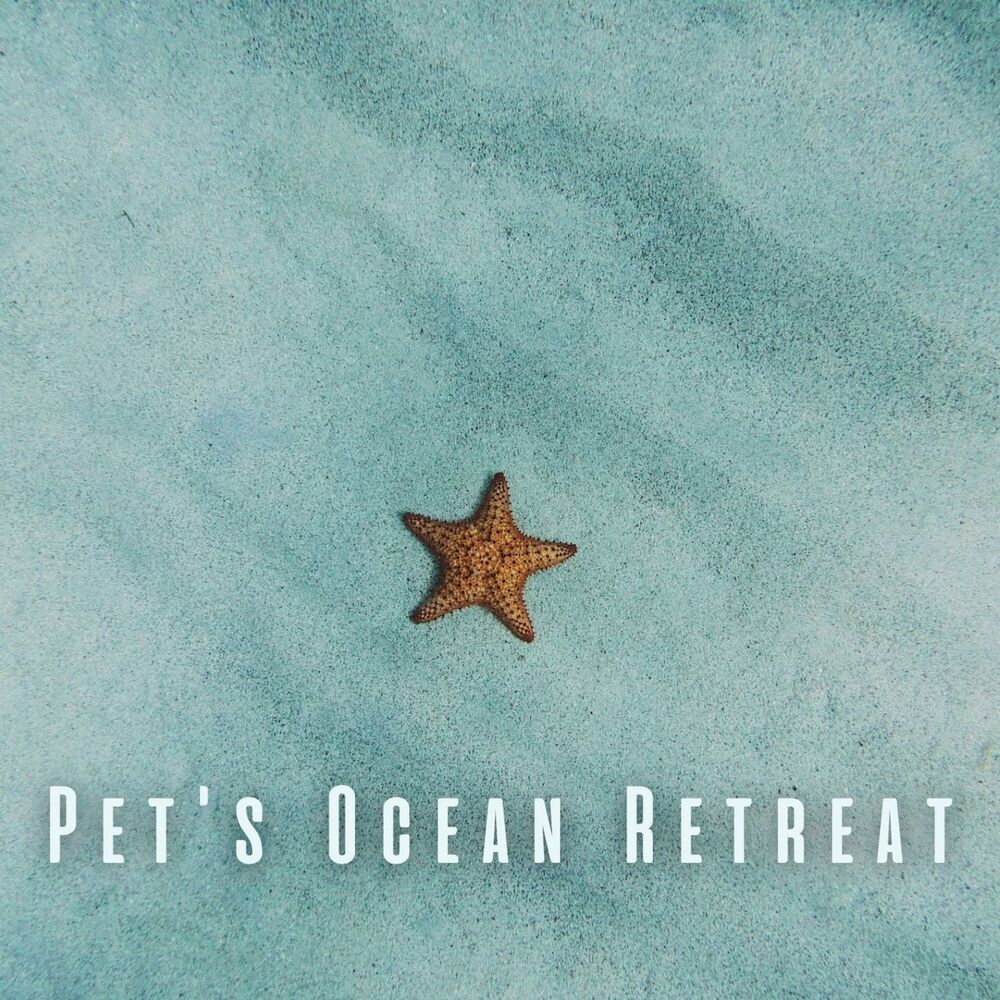 Picture of Pet's Ocean Retreat: Gentle Ambient Sounds for Calmness