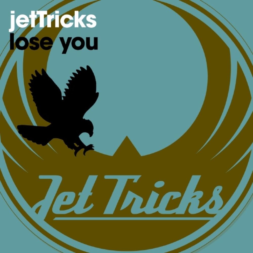 Picture of Lose You