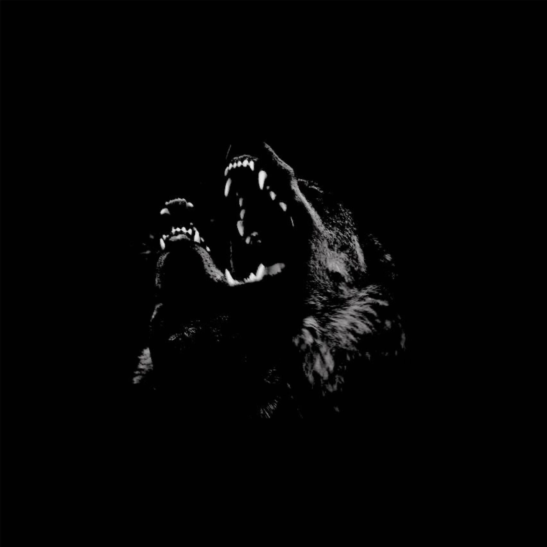 Album cover of FAR