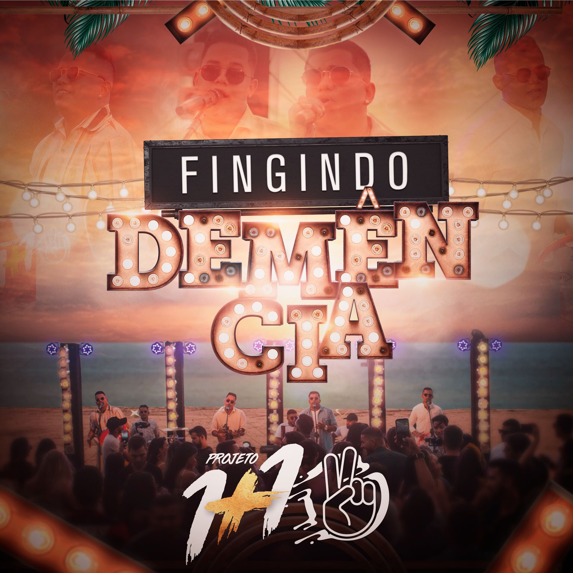 Album cover of Fingindo Demência