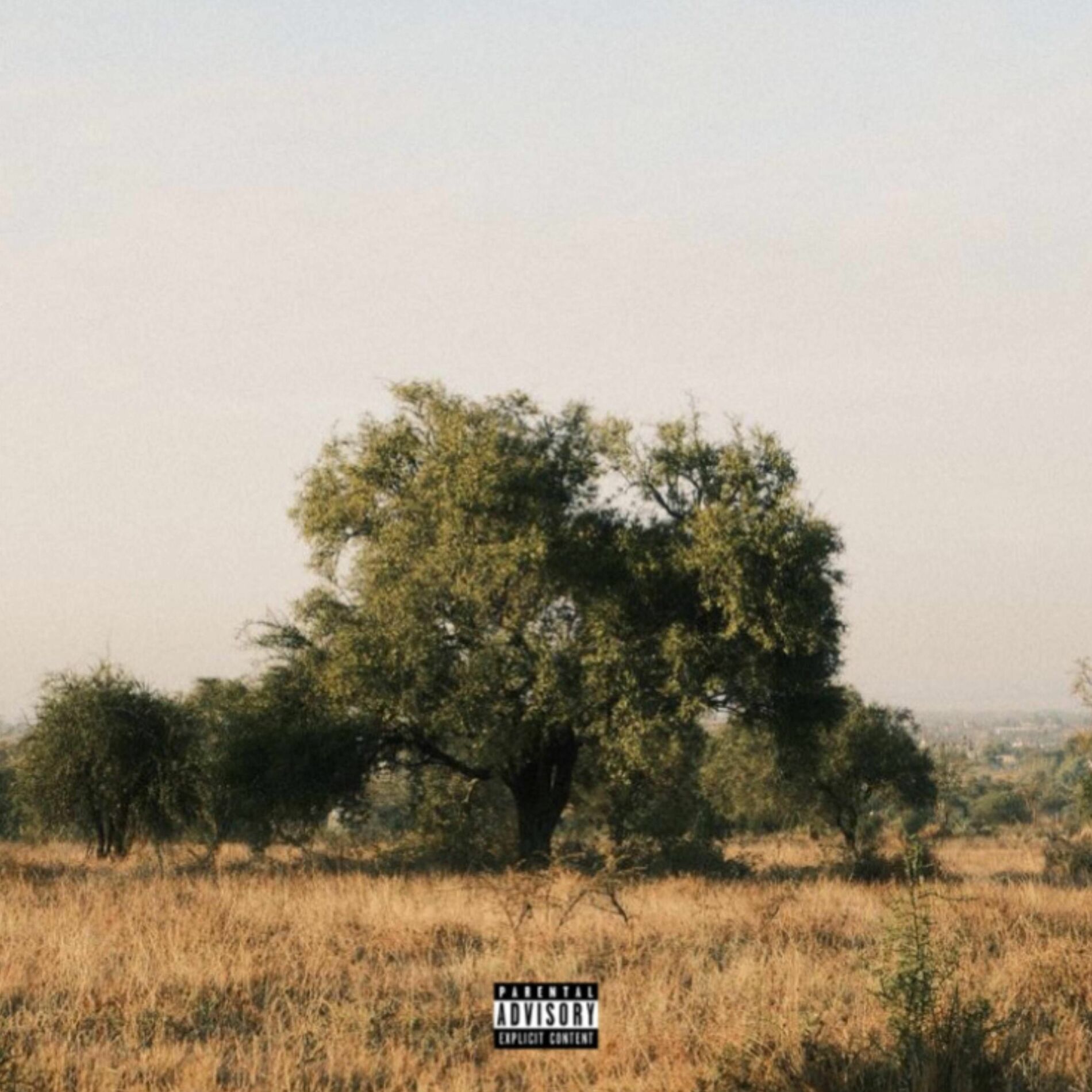 Album cover of Lets Get Lost (feat. JP Beats)