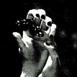 Cover of Into the Light