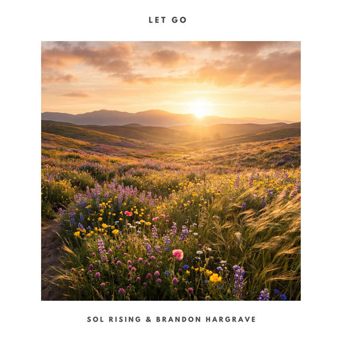 Let Go artwork