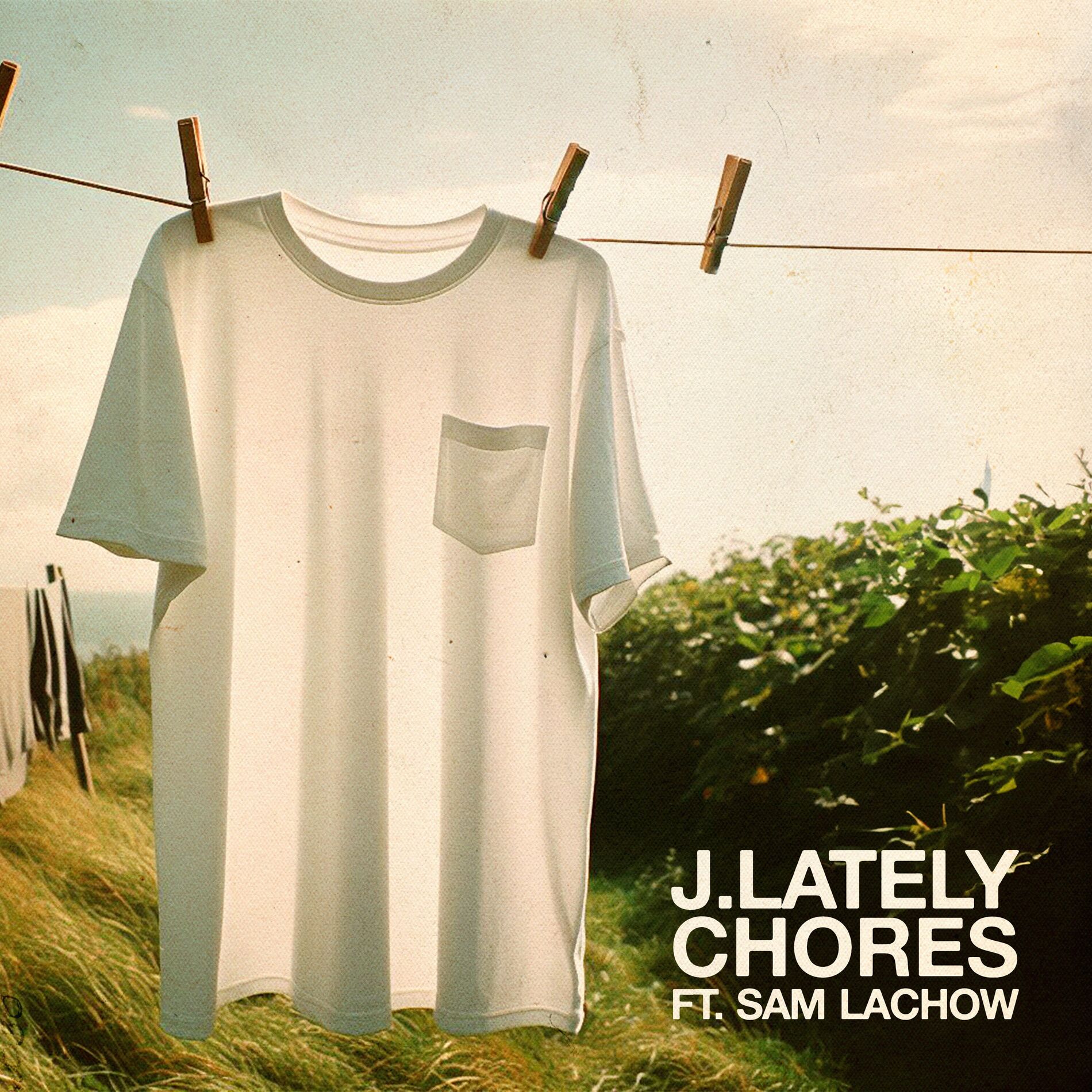 Album cover of Chores