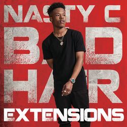 Cover of Bad Hair Extensions