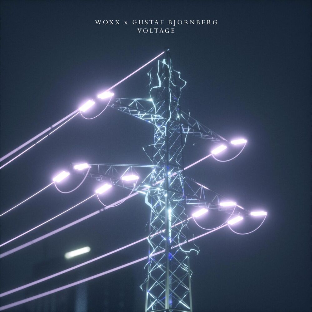 Picture of Voltage