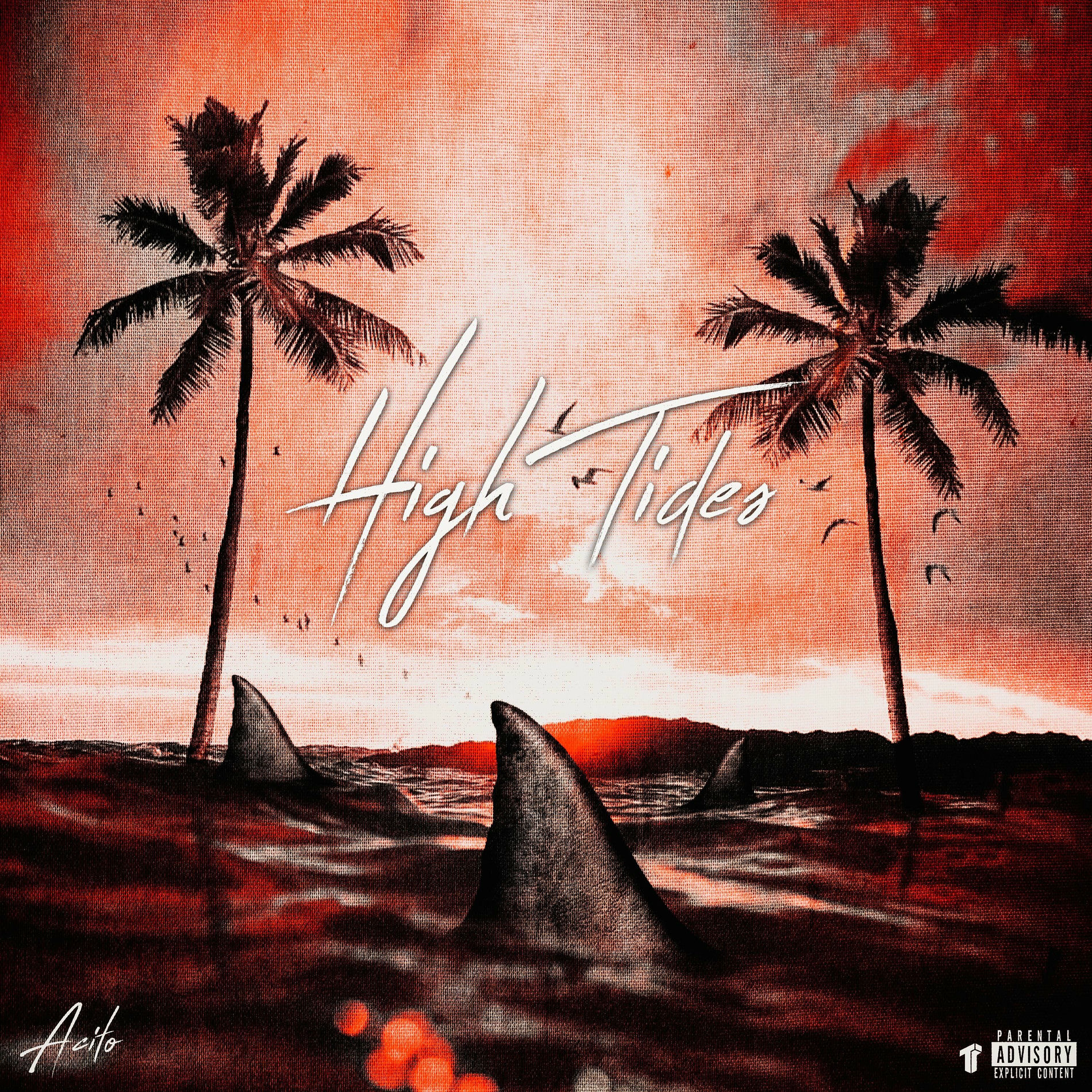 Album cover of High Tides