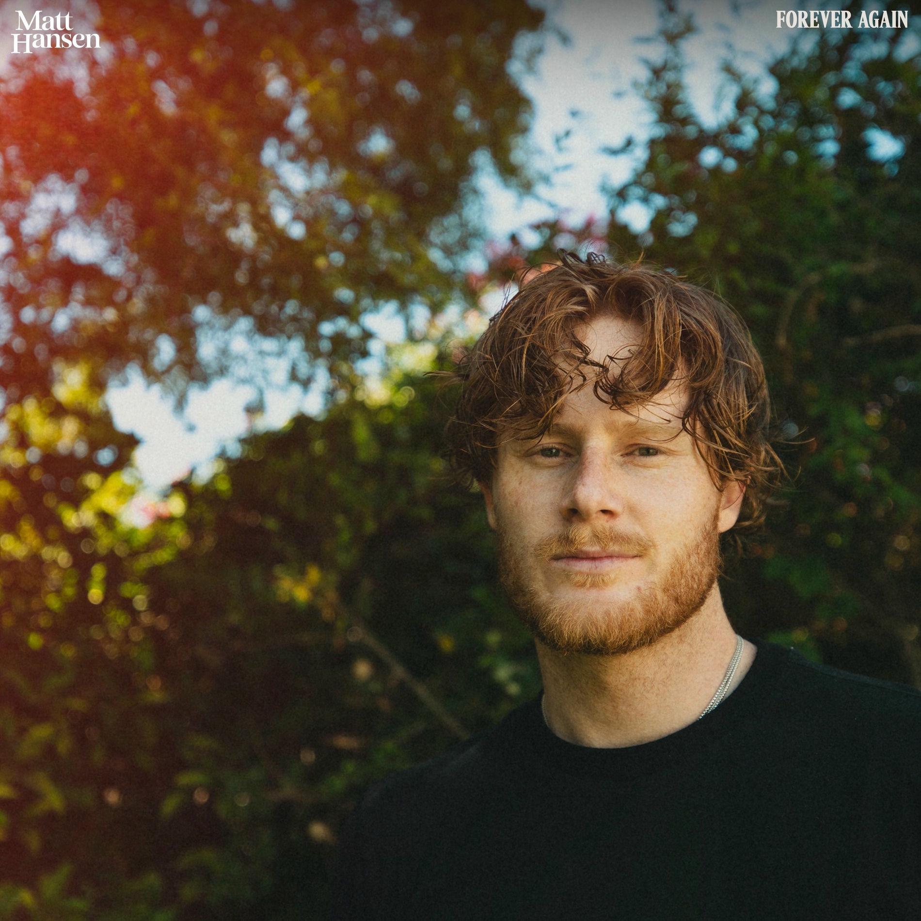 Album cover of FOREVER AGAIN