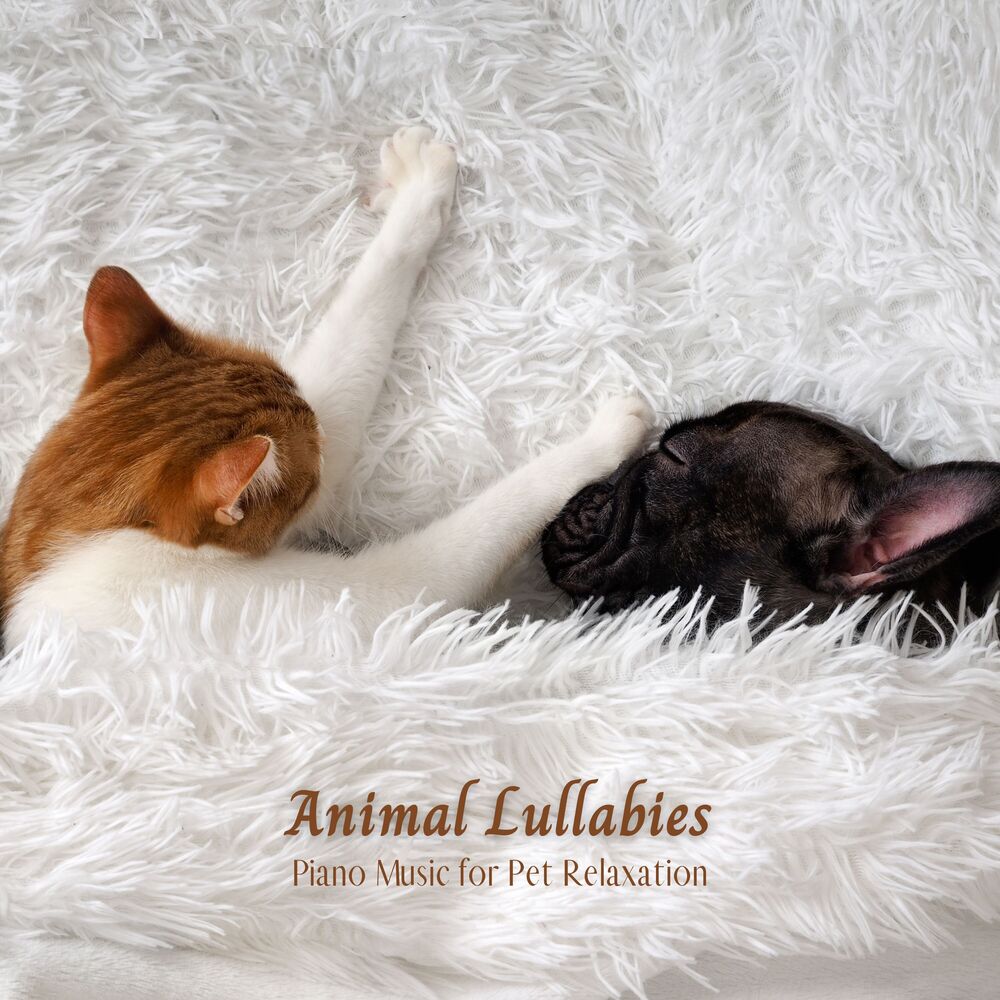 Picture of Animal Lullabies: Piano Music for Pet Relaxation