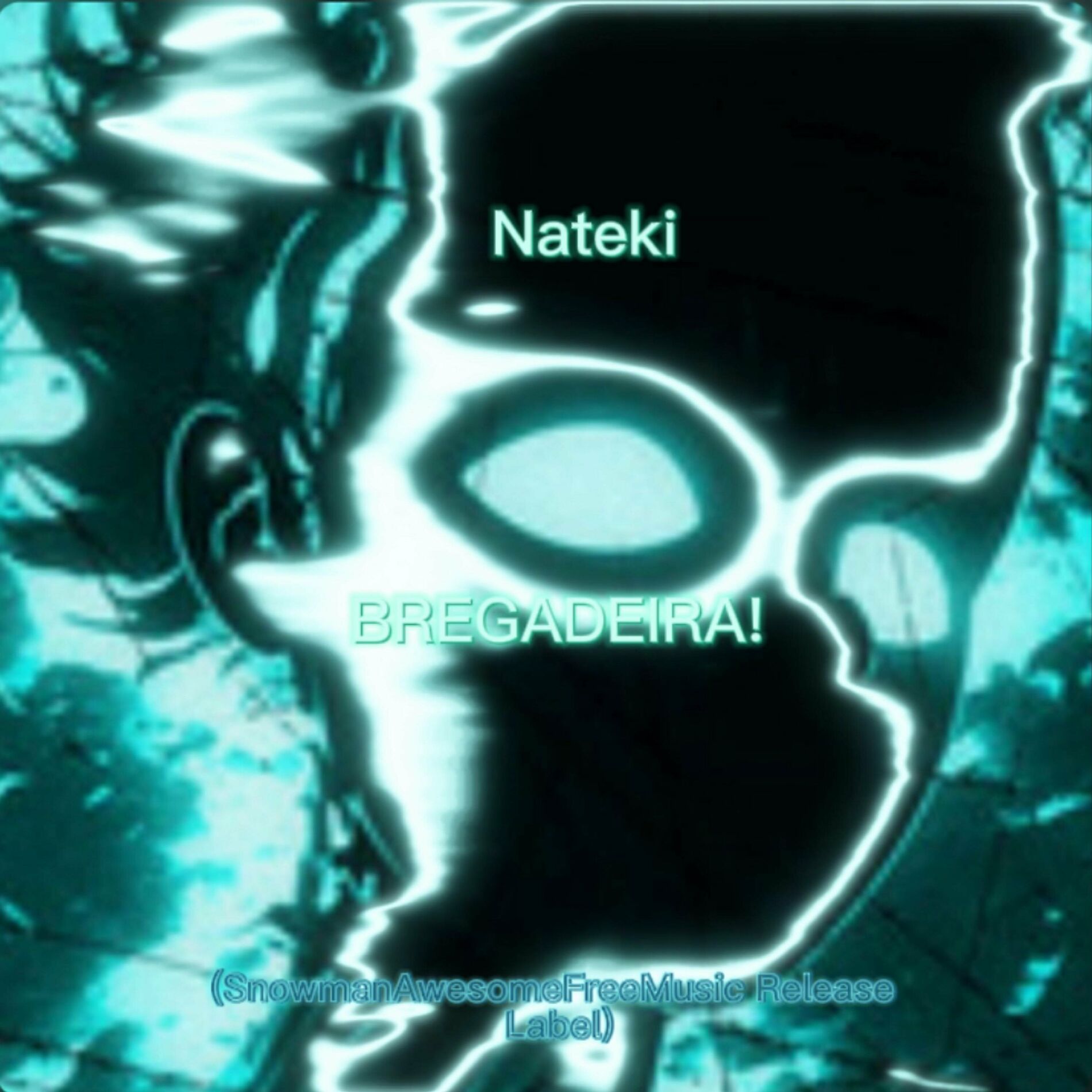 Album cover of BREGADEIRA! (SnowmanAwesome Release) (feat. Nateki)