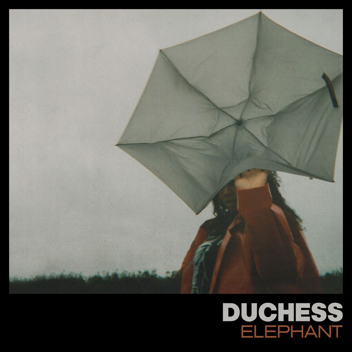 Album cover of Elephant