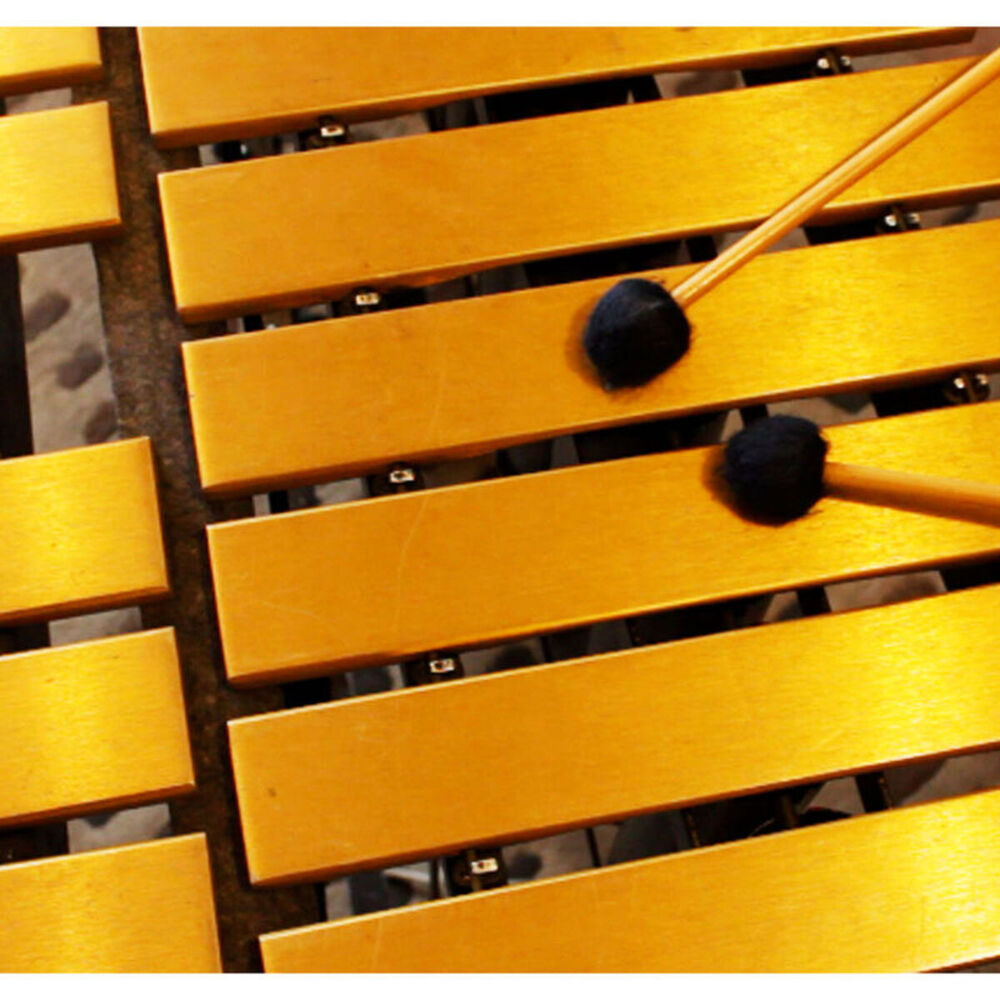 Picture of Vibes and Violins