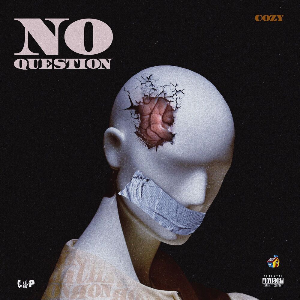 Picture of No Question