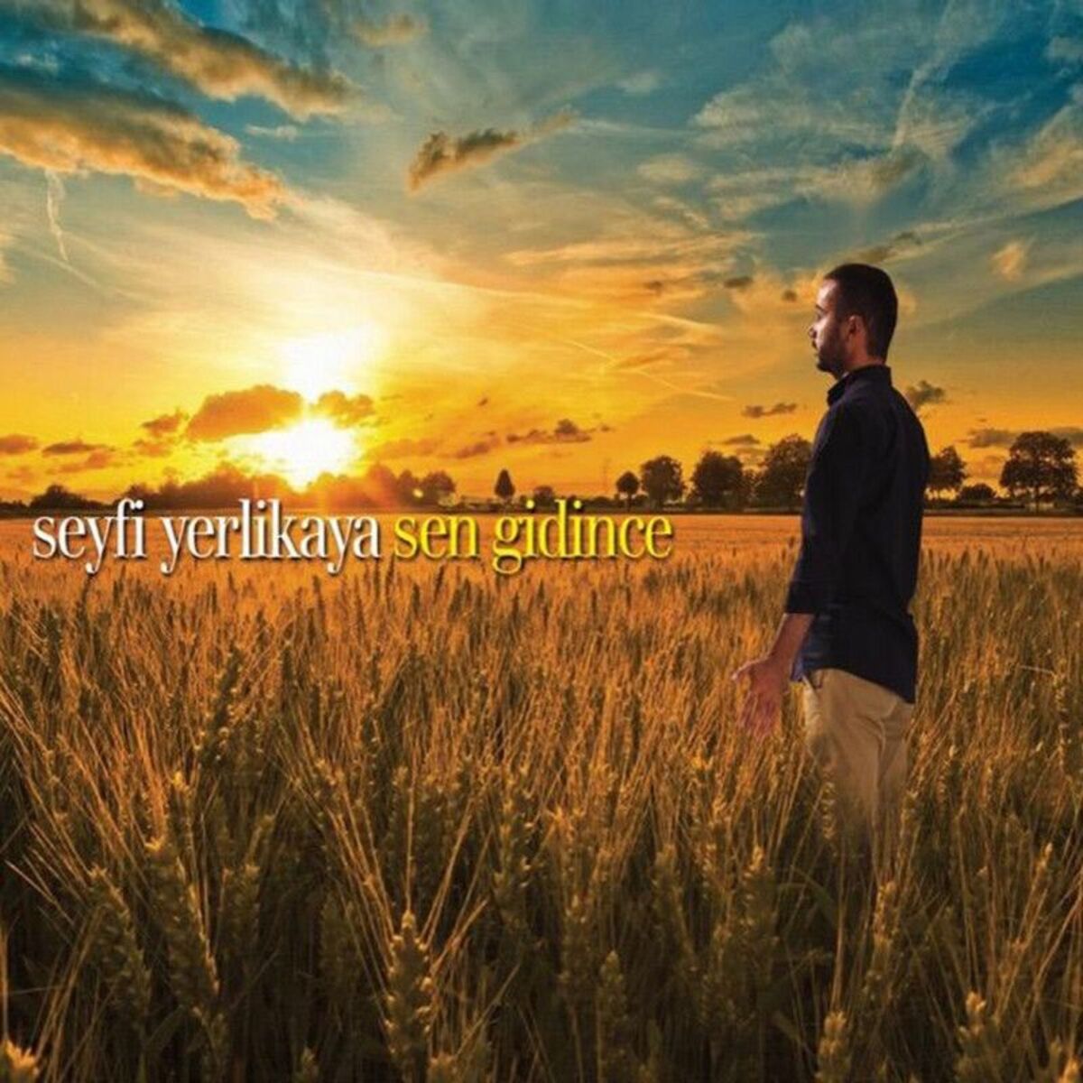 Album cover of Ayrılık Hasreti Kâr Etti Cana