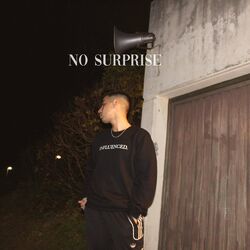 Cover of no surprise