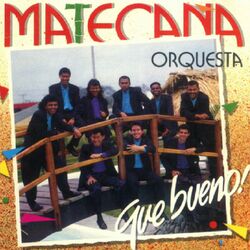 Cover of Que Bueno