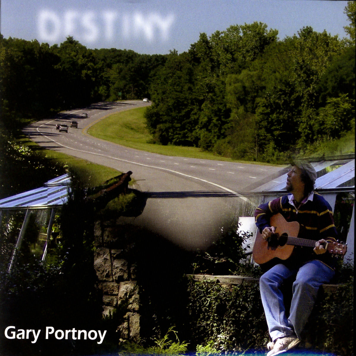 Album cover of Destiny
