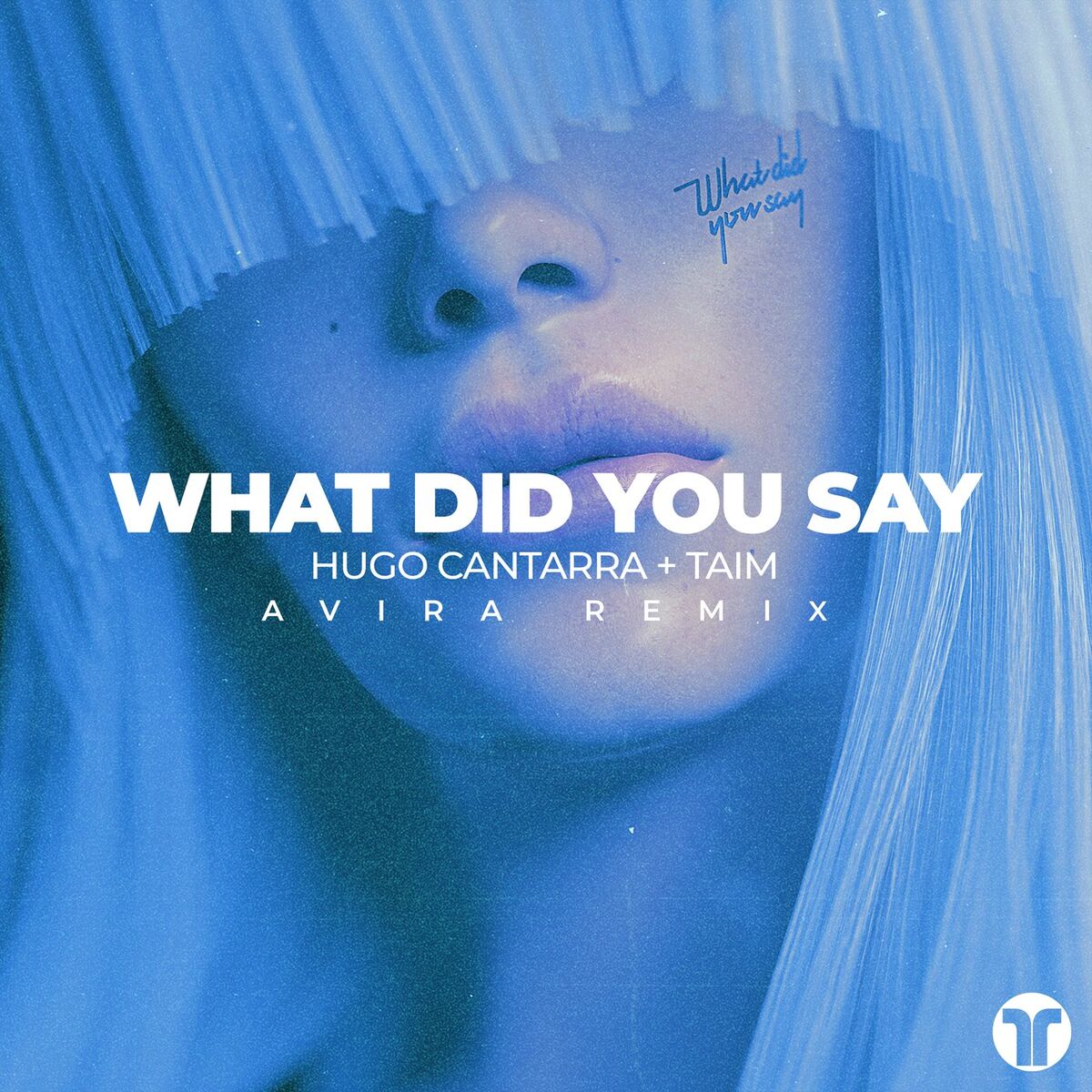 Album cover of What Did You Say (AVIRA Remix)