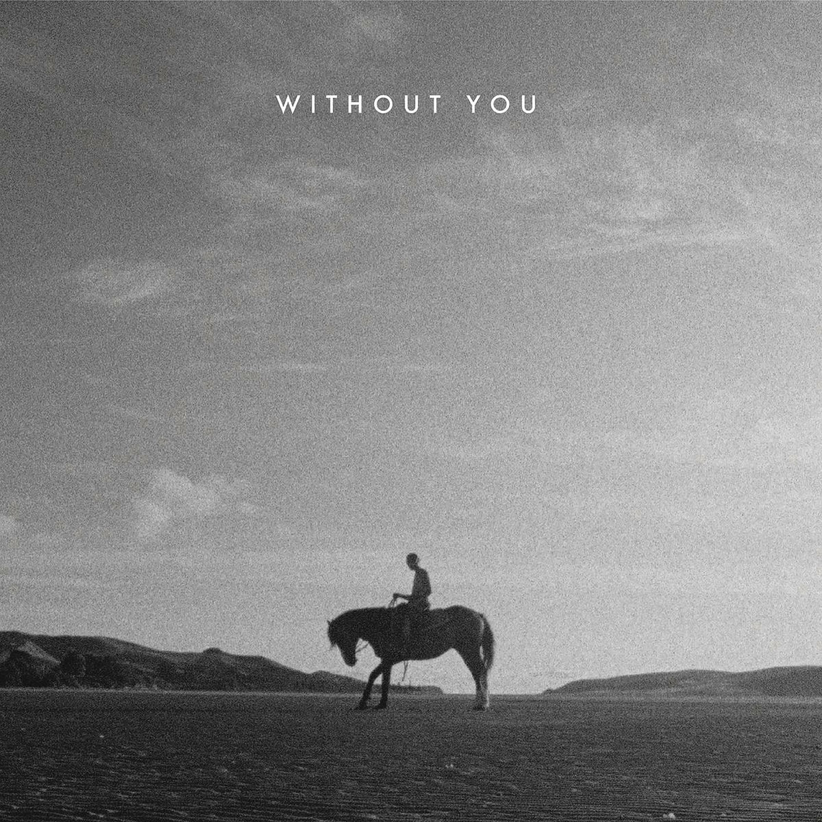 Album cover of Without You