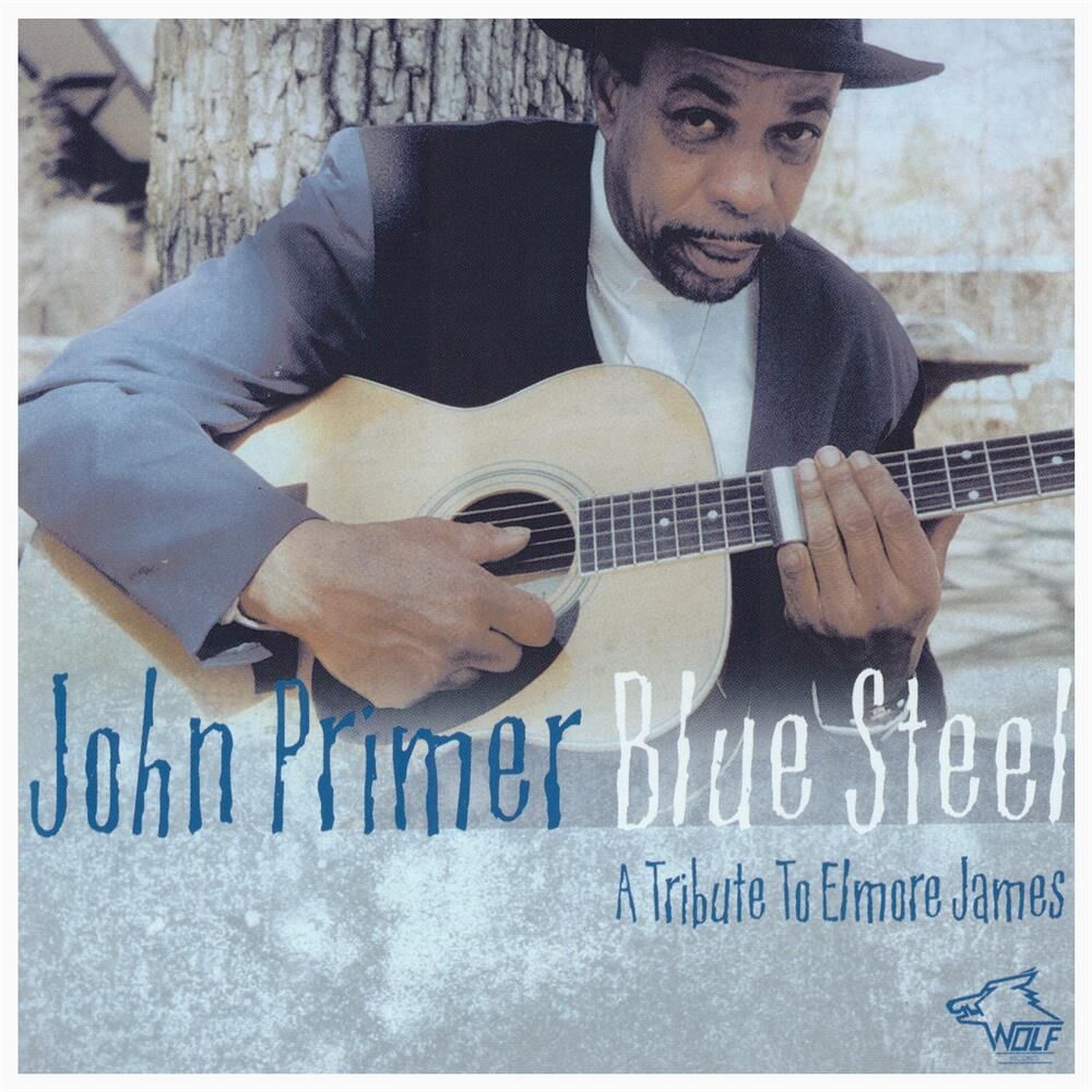 Picture of Blue Steel: A Tribute to Elmore James