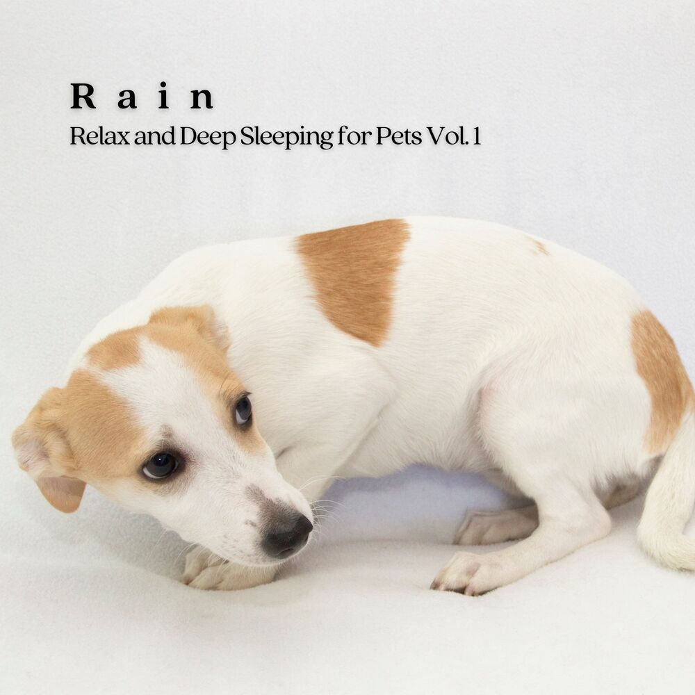 Picture of Rain: Relax and Deep Sleeping for Pets Vol. 1