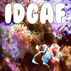 IDGAF
