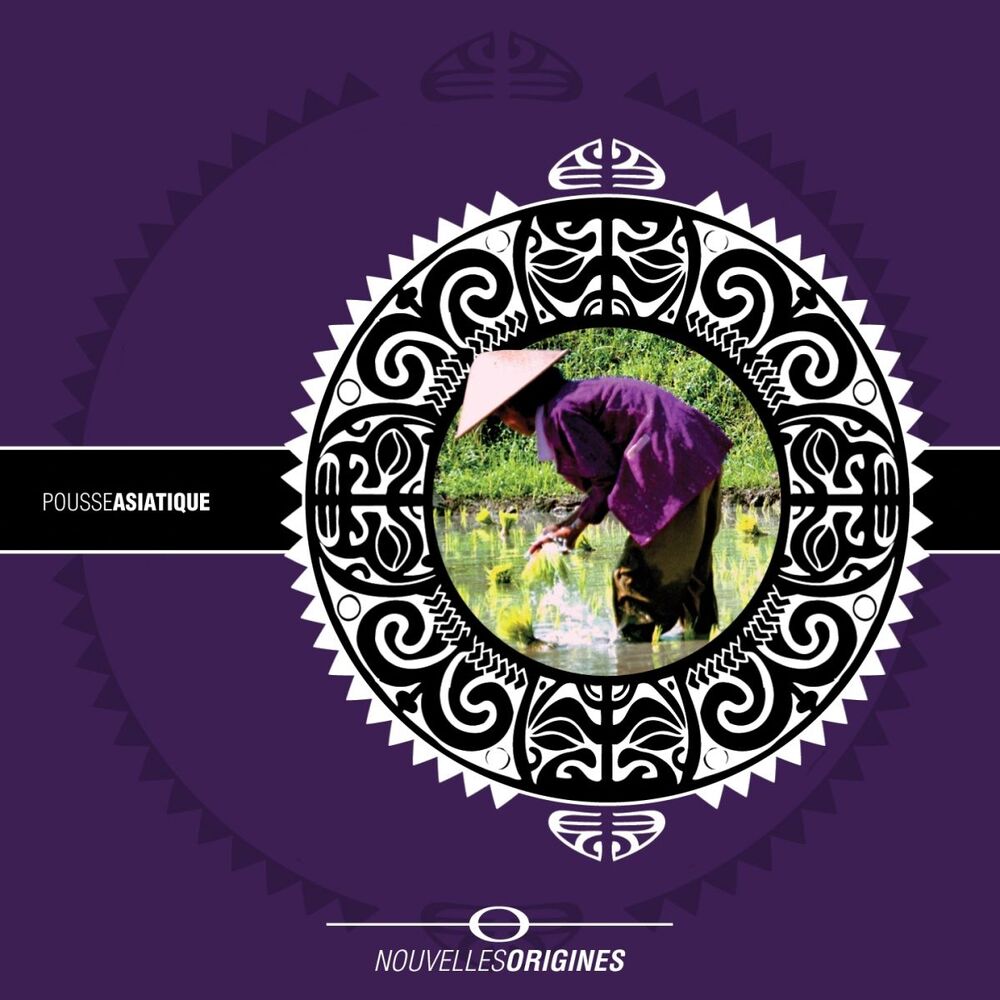 Picture of Nouvelles Origines - Pousse Asiatique