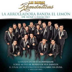 Cover of Las Bandas Románticas