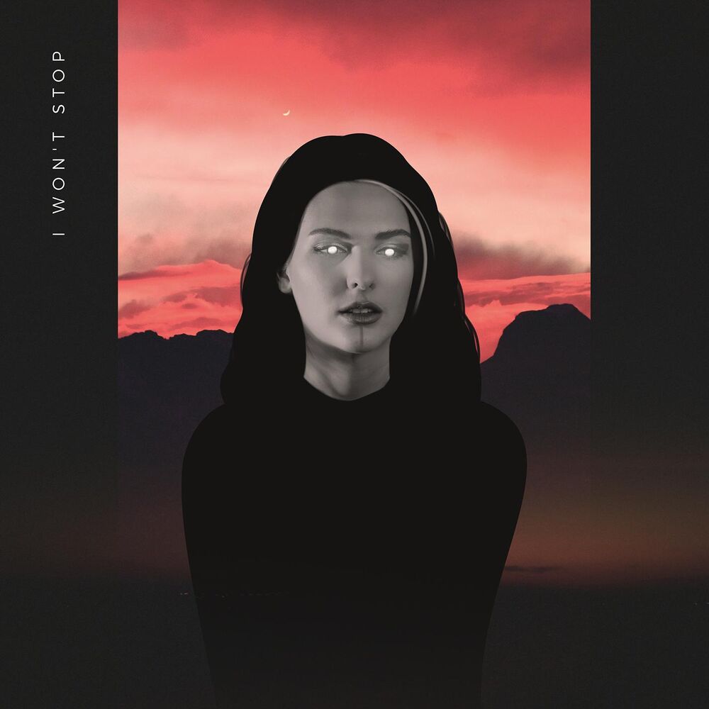 Picture of I Won't Stop (feat. HeroKiller)