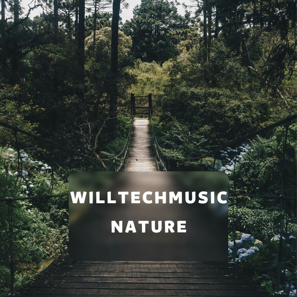 Picture of Nature