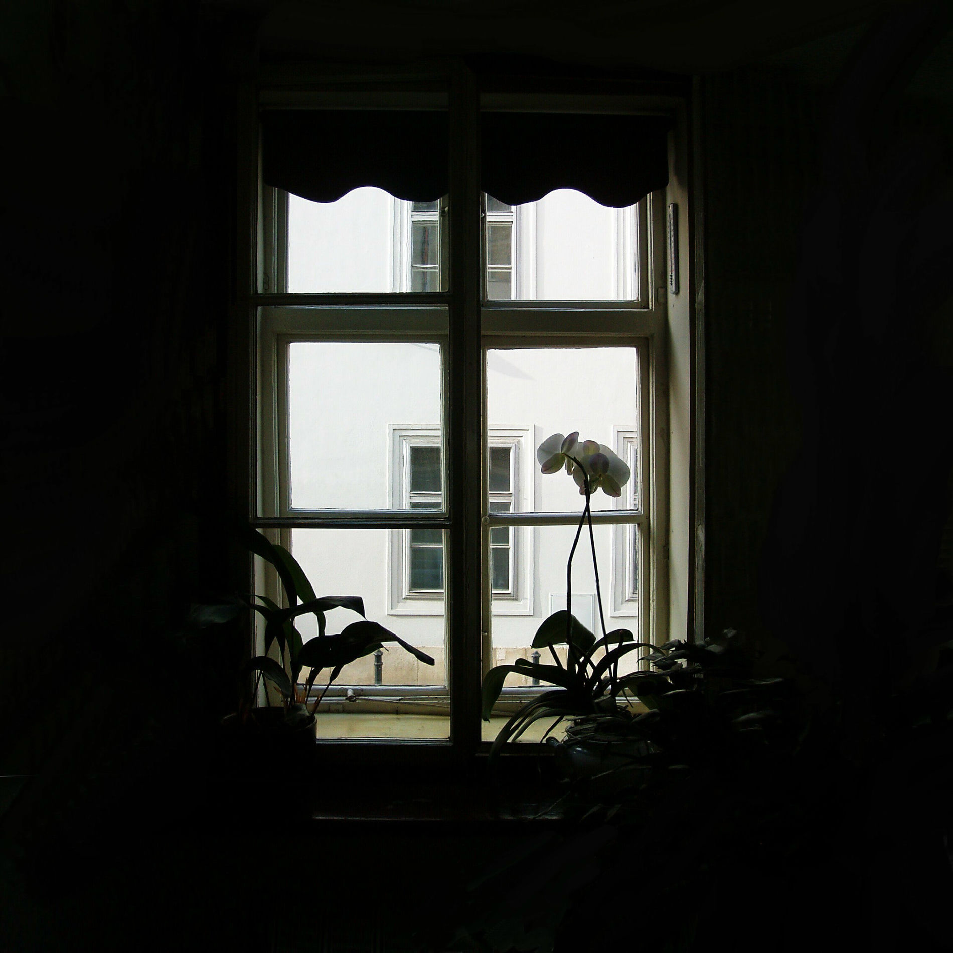 Album cover of Space II