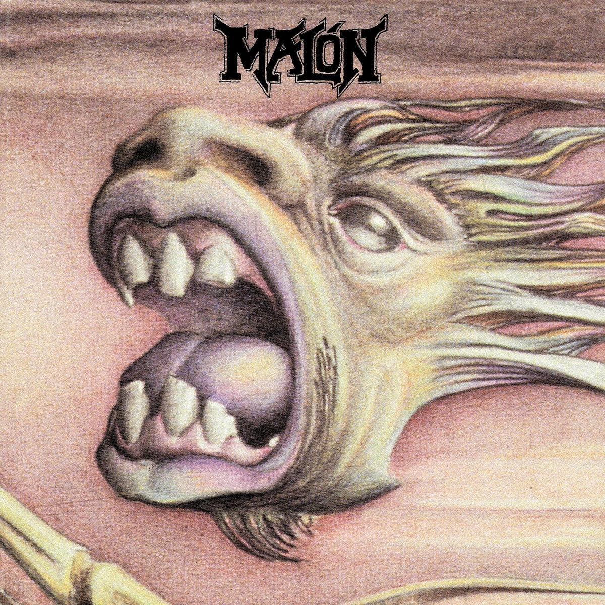 Album cover of Castigador Por Herencia