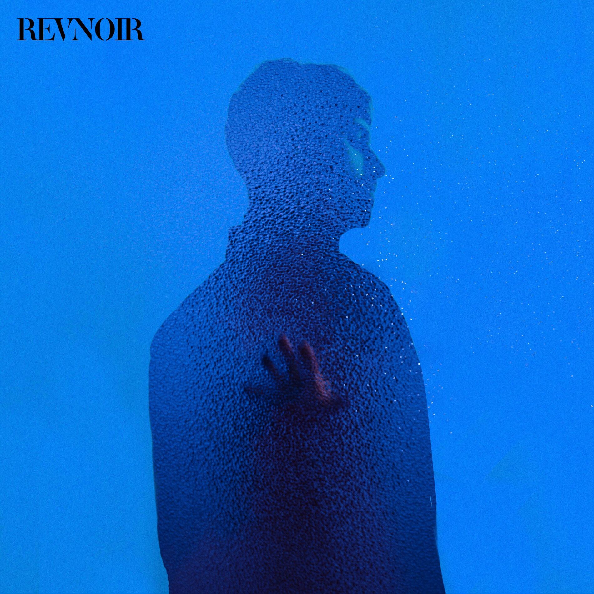 Revnoir: albums, songs, concerts | Deezer