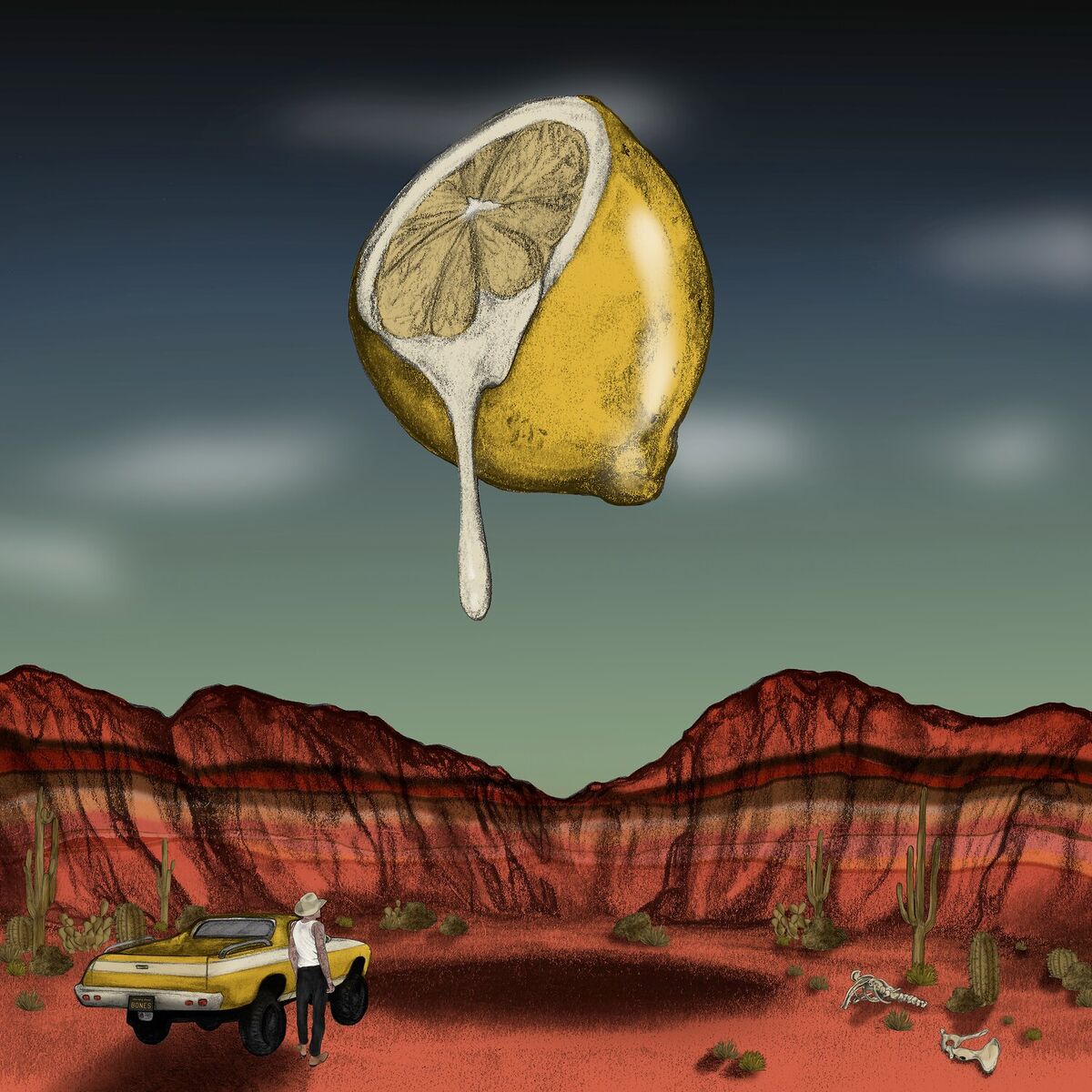 Album cover of Summer Skin