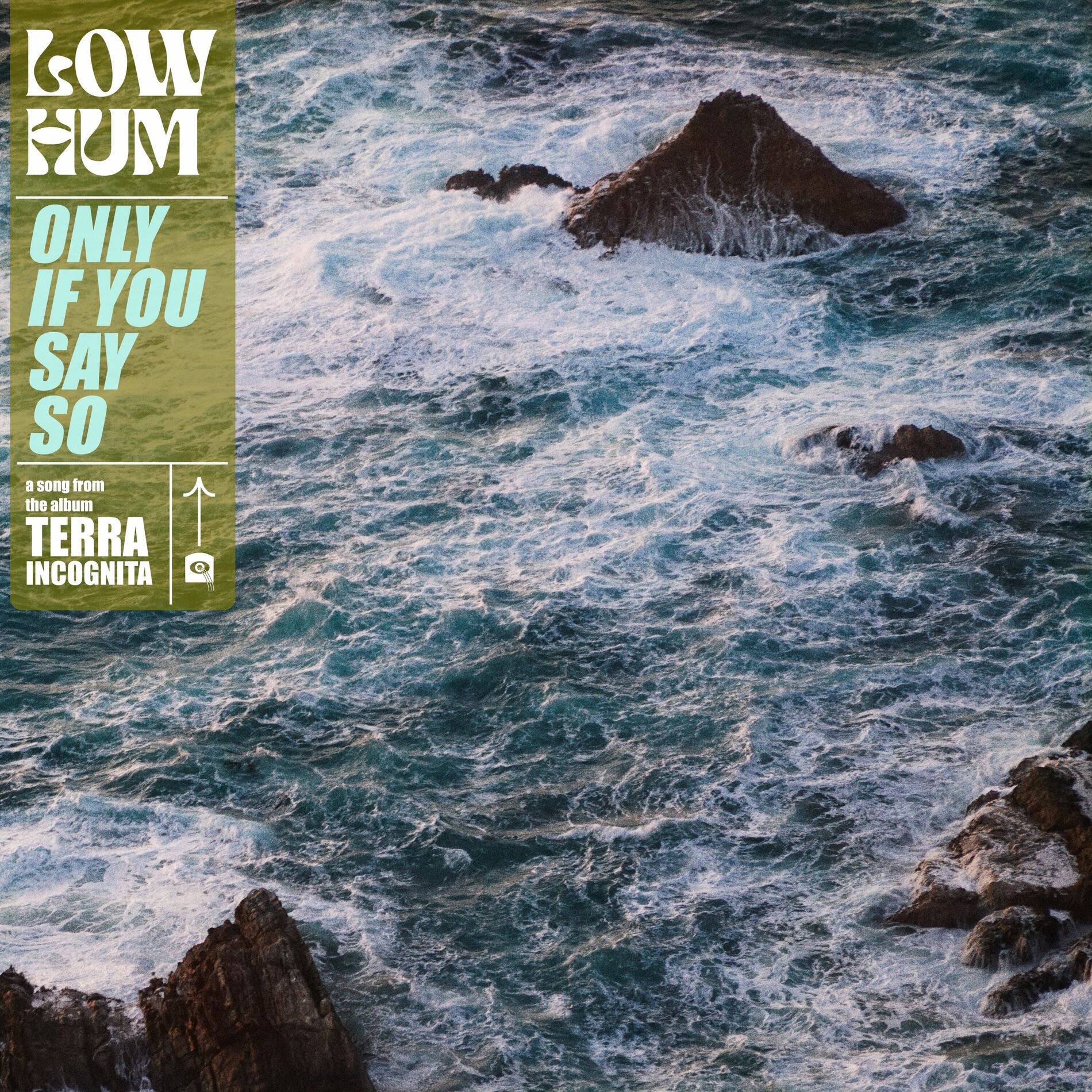 Album cover of Only If You Say So